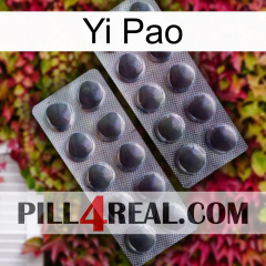 Yi Pao 31